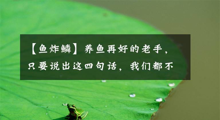 【鱼炸鳞】养鱼再好的老手，只要说出这四句话，我们都不要轻易相信