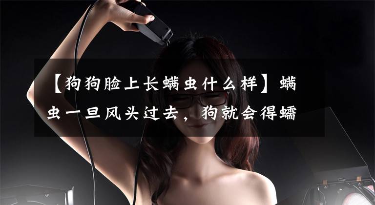【狗狗脸上长螨虫什么样】螨虫一旦风头过去，狗就会得蠕虫病，早期预防是王道文章配图