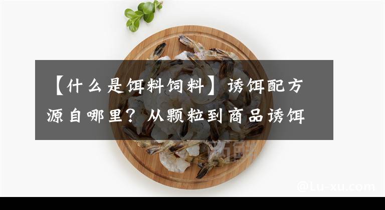 【什么是饵料饲料】诱饵配方源自哪里？从颗粒到商品诱饵，一口气了解诱饵的前世今生文章配图