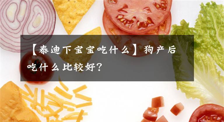 【泰迪下宝宝吃什么】狗产后吃什么比较好？文章配图