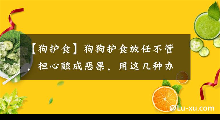 【狗护食】狗狗护食放任不管，担心酿成恶果，用这几种办法让狗狗改正坏习惯