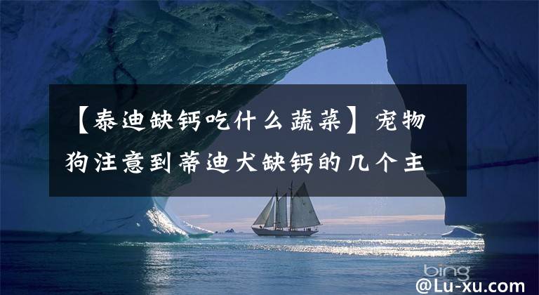 【泰迪缺钙吃什么蔬菜】宠物狗注意到蒂迪犬缺钙的几个主要信号可以通过四种简单的方法来补充。文章配图