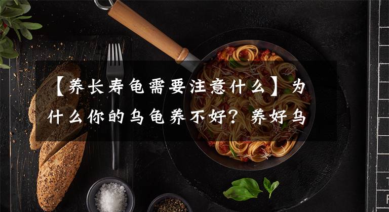 【养长寿龟需要注意什么】为什么你的乌龟养不好？养好乌龟不难。这六点钟你做到了吗？文章配图