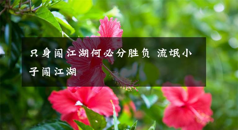 只身闯江湖何必分胜负 流氓小子闯江湖文章配图