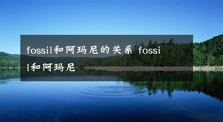 fossil和阿玛尼的关系 fossil和阿玛尼