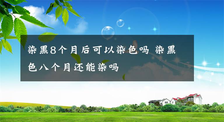 染黑8个月后可以染色吗 染黑色八个月还能染吗