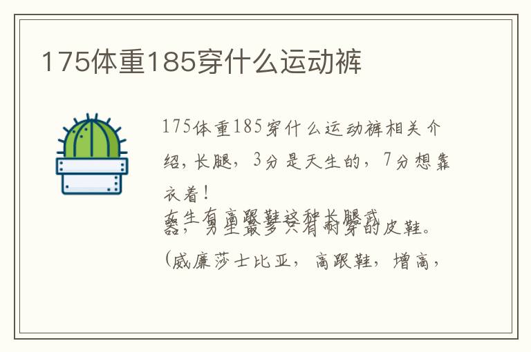 175体重185穿什么运动裤文章配图