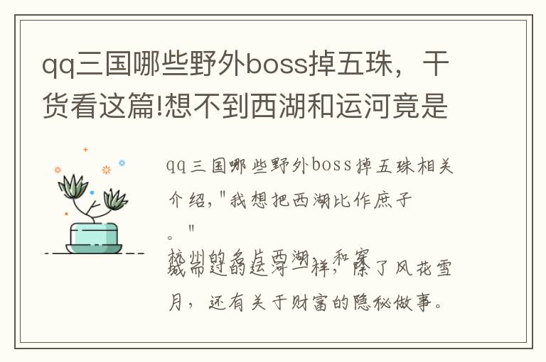 qq三国哪些野外boss掉五珠，干货看这篇!想不到西湖和运河竟是这群人的聚宝盆！水下那些小东西，有些已卖到几十万