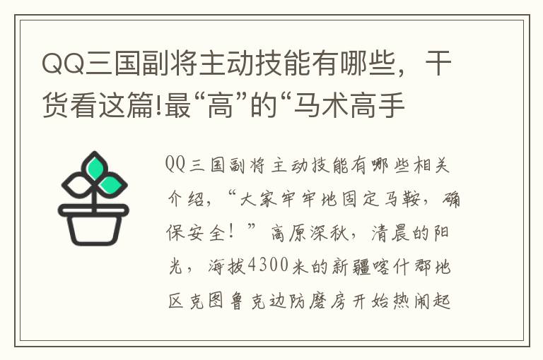 QQ三国副将主动技能有哪些，干货看这篇!最“高”的“马术高手”，策马守边在云端