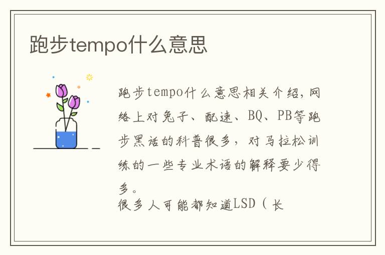 跑步tempo什么意思