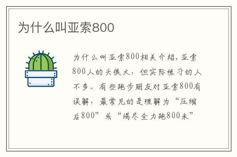 为什么叫亚索800