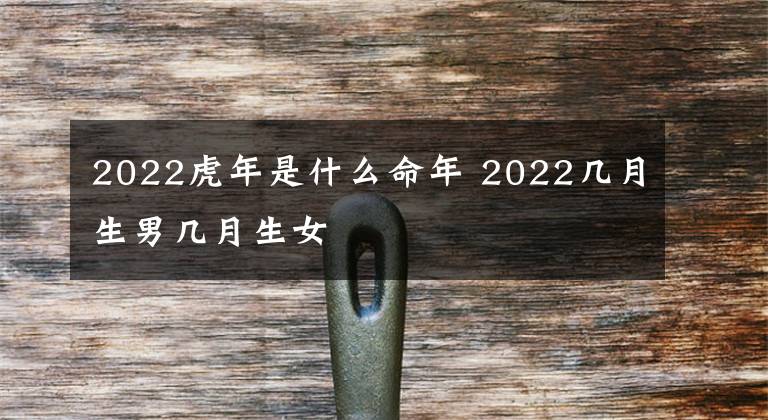 2022虎年是什么命年 2022几月生男几月生女