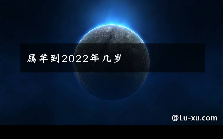 属羊到2022年几岁