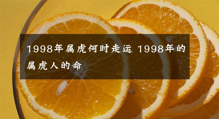 1998年属虎何时走运 1998年的属虎人的命