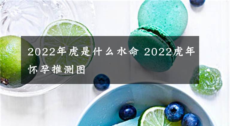 2022年虎是什么水命 2022虎年怀孕推测图