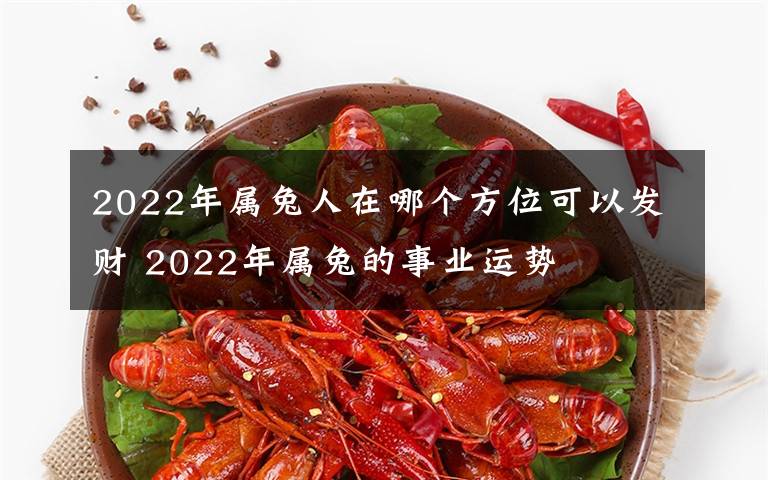 2022年属兔人在哪个方位可以发财 2022年属兔的事业运势