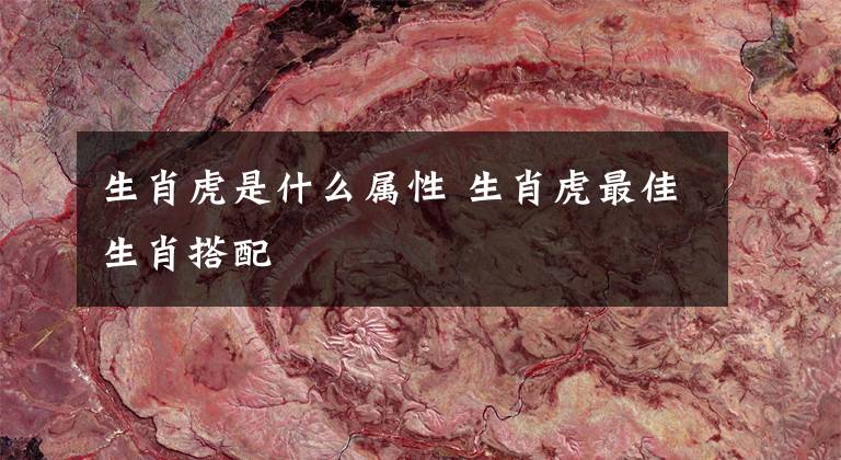 生肖虎是什么属性 生肖虎最佳生肖搭配