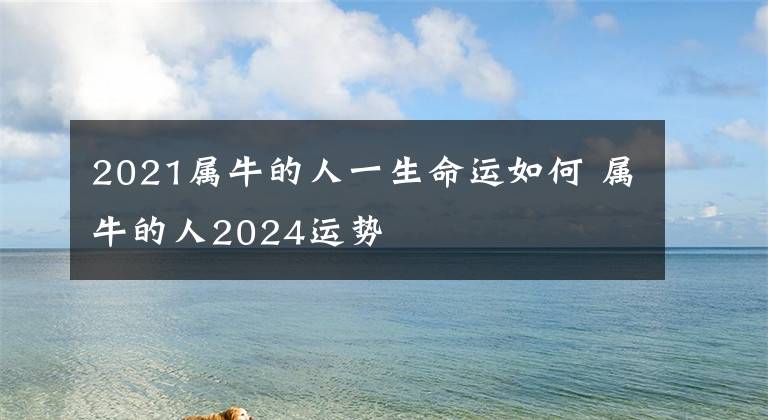 2021属牛的人一生命运如何 属牛的人2024运势文章配图