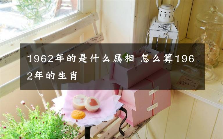 1962年的是什么属相 怎么算1962年的生肖文章配图