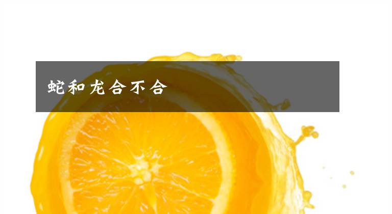 蛇和龙合不合文章配图