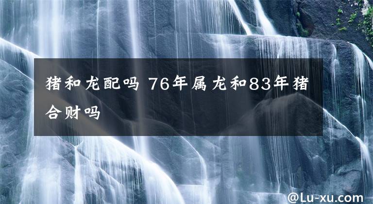 猪和龙配吗 76年属龙和83年猪合财吗