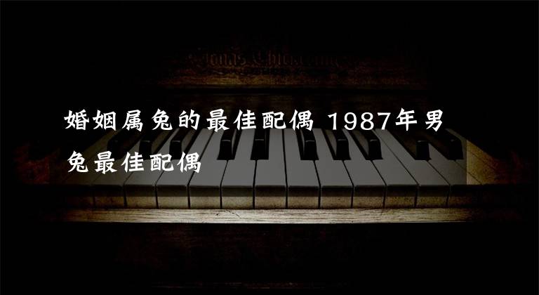 婚姻属兔的最佳配偶 1987年男兔最佳配偶