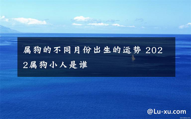 属狗的不同月份出生的运势 2022属狗小人是谁