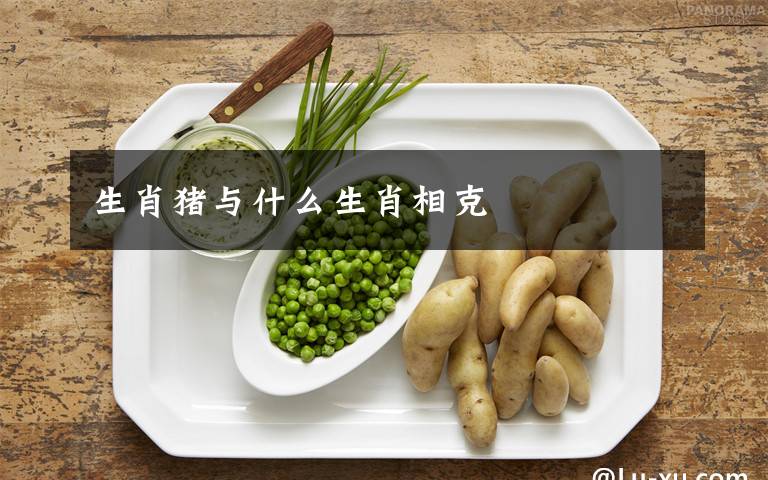 生肖猪与什么生肖相克