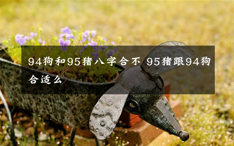 94狗和95猪八字合不 95猪跟94狗合适么