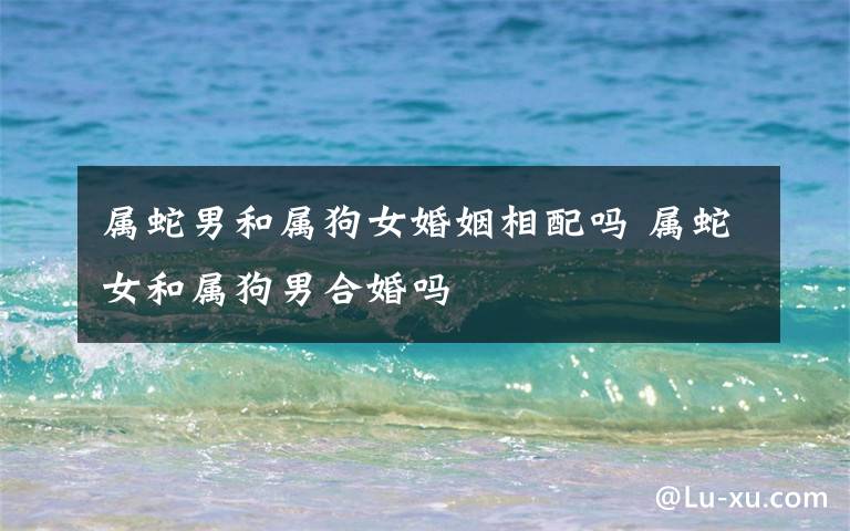 属蛇男和属狗女婚姻相配吗 属蛇女和属狗男合婚吗