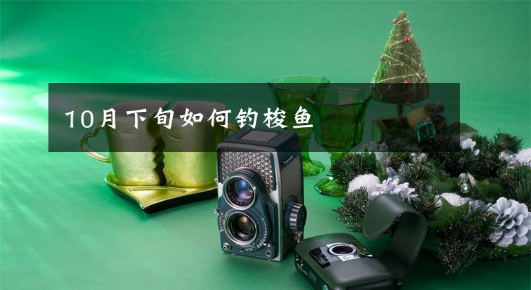 10月下旬如何钓梭鱼文章配图