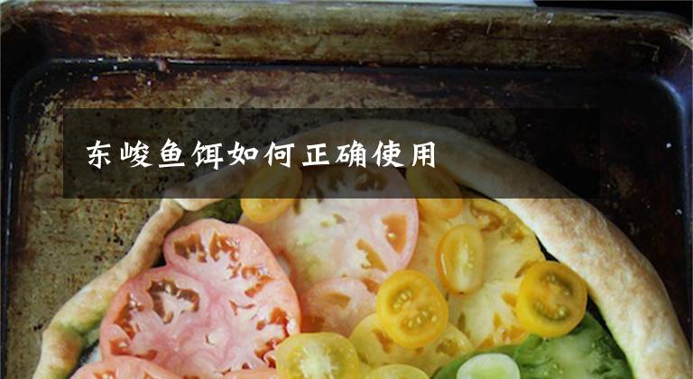 东峻鱼饵如何正确使用