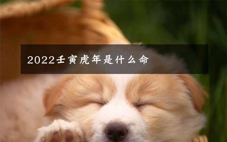 2022壬寅虎年是什么命