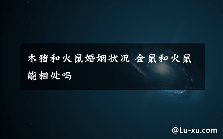 木猪和火鼠婚姻状况 金鼠和火鼠能相处吗文章配图