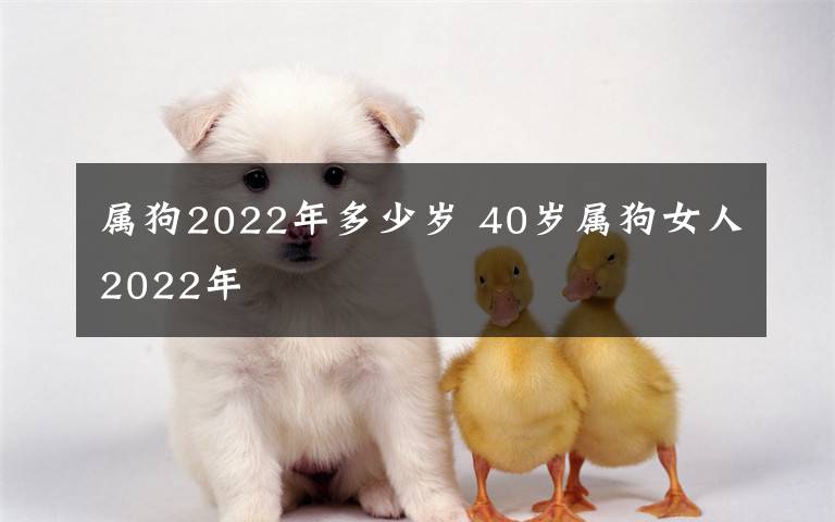 属狗2022年多少岁 40岁属狗女人2022年