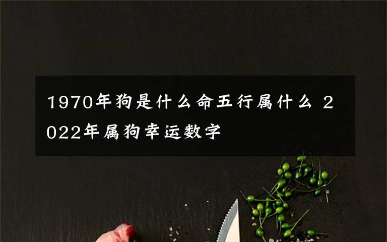 1970年狗是什么命五行属什么 2022年属狗幸运数字