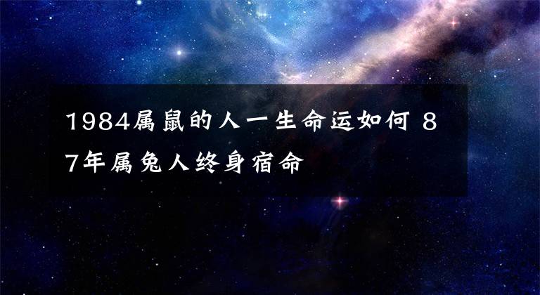 1984属鼠的人一生命运如何 87年属兔人终身宿命