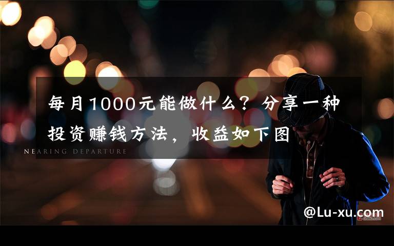 每月1000元能做什么？分享一种投资赚钱方法，收益如下图