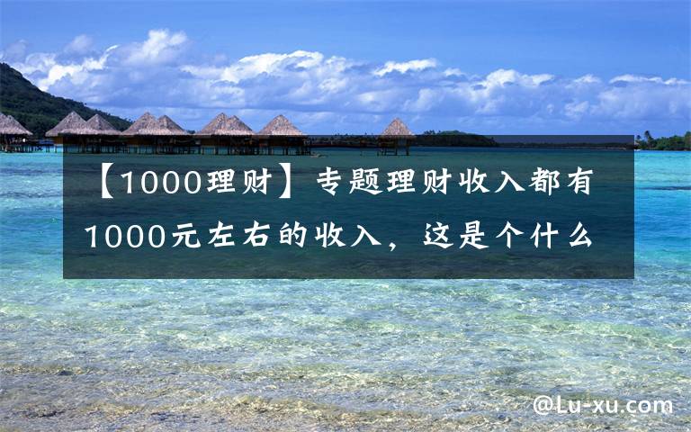 【1000理财】专题理财收入都有1000元左右的收入，这是个什么水平？