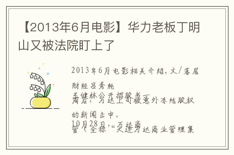 【2013年6月电影】华力老板丁明山又被法院盯上了