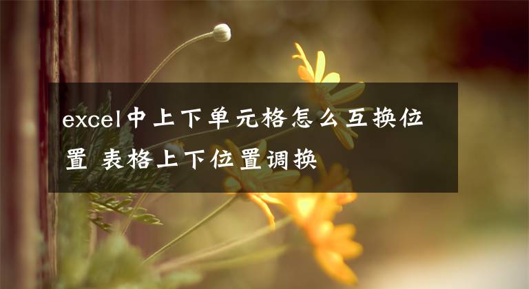 excel中上下单元格怎么互换位置 表格上下位置调换文章配图