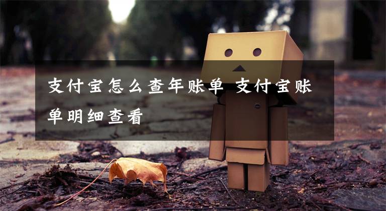 支付宝怎么查年账单 支付宝账单明细查看文章配图
