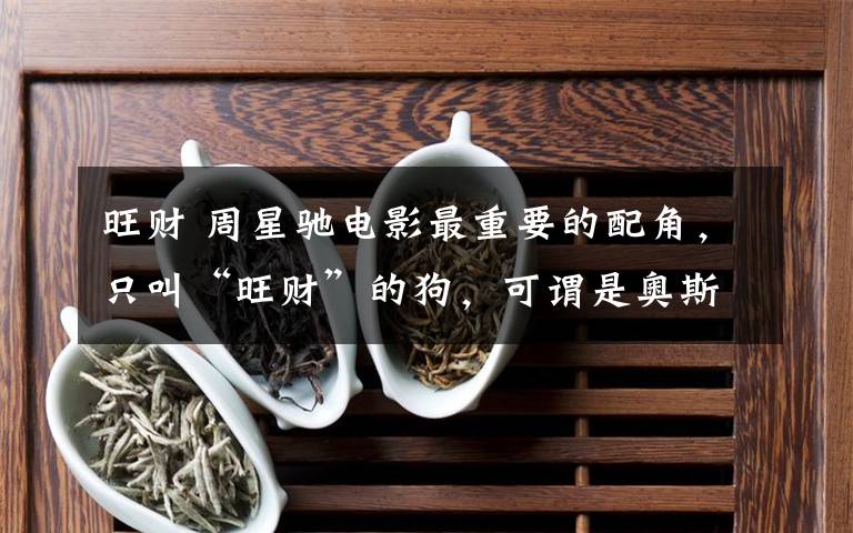 旺财 周星驰电影最重要的配角，只叫“旺财”的狗，可谓是奥斯卡影帝！文章配图