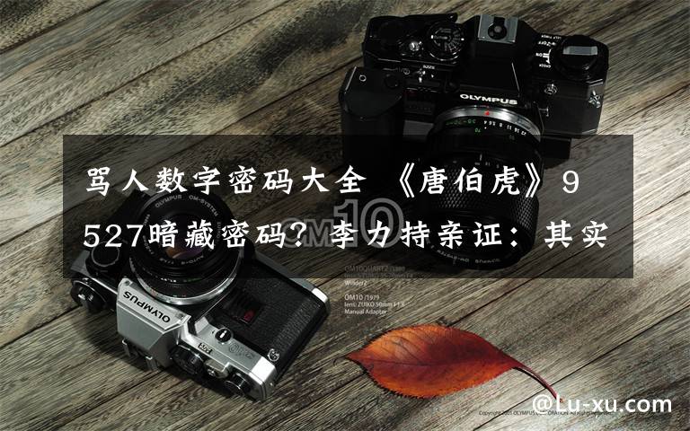 骂人数字密码大全 《唐伯虎》9527暗藏密码？李力持亲证：其实系粗口