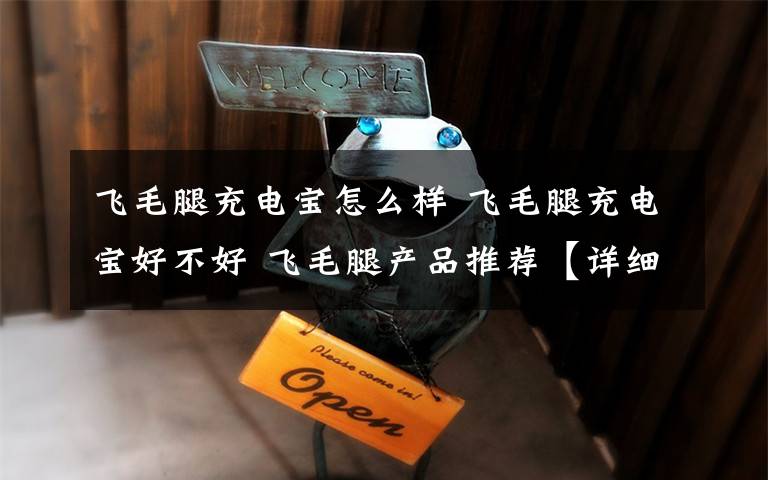 飞毛腿充电宝怎么样 飞毛腿充电宝好不好 飞毛腿产品推荐【详细介绍】文章配图