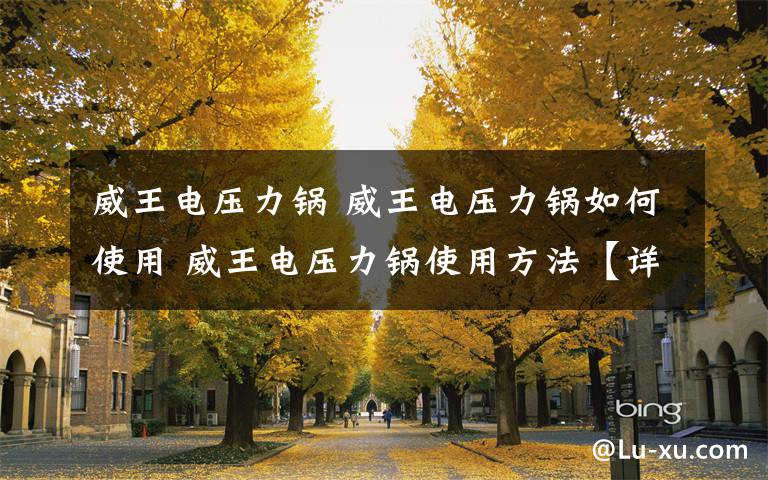 威王电压力锅 威王电压力锅如何使用 威王电压力锅使用方法【详解】文章配图