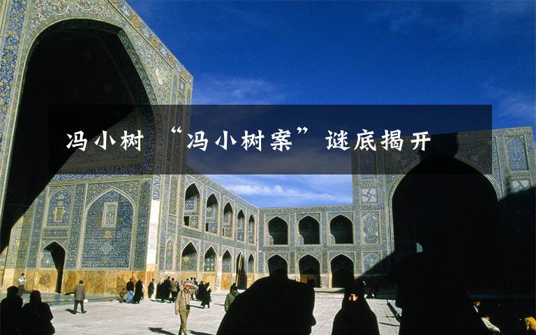 冯小树 “冯小树案”谜底揭开文章配图