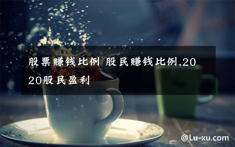 股票赚钱比例 股民赚钱比例,2020股民盈利文章配图