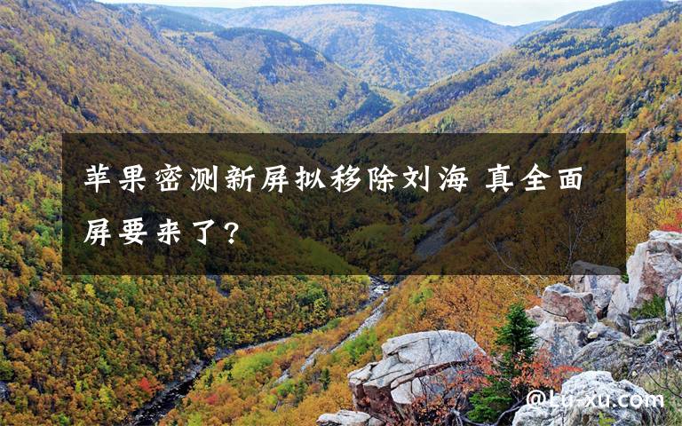 苹果密测新屏拟移除刘海 真全面屏要来了?文章配图