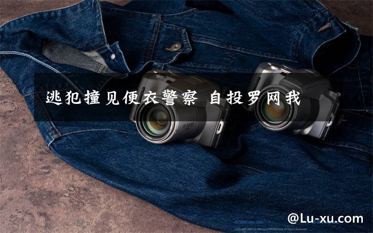 逃犯撞见便衣警察 自投罗网我文章配图